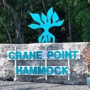 Crane Point Hammock